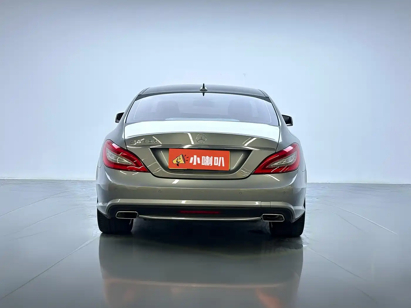 Mercedes-Benz CLS 2012 CLS 300 CGI фото 7