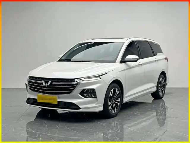 WULING WULING CAPGEMINI