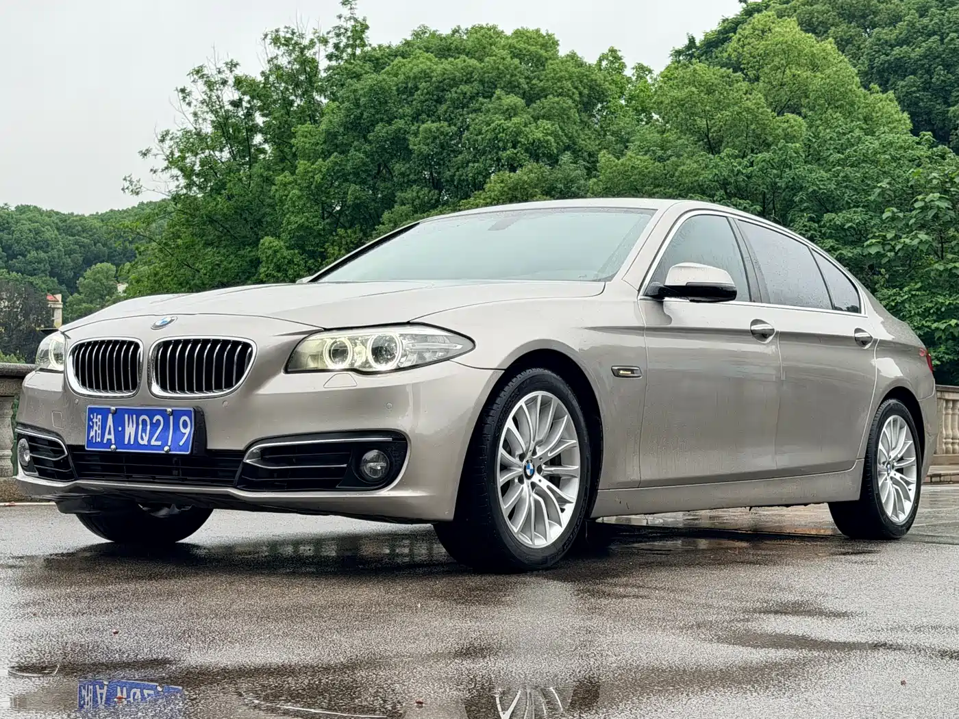 BMW 5 Series 2014 525Li Luxury Design Package