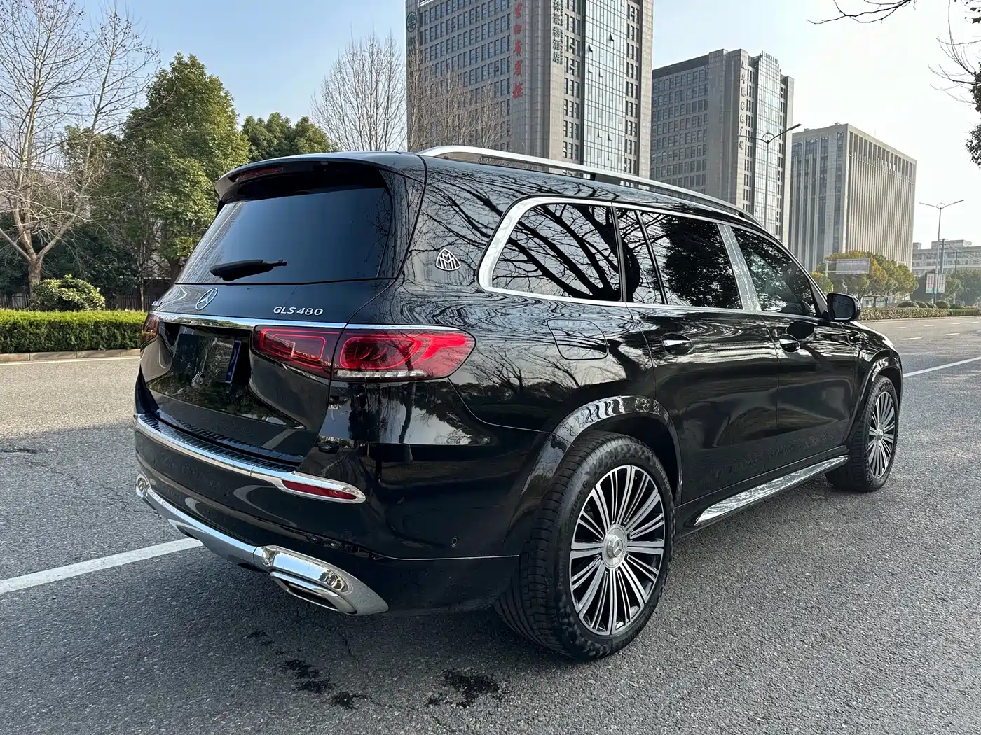 Mercedes-Benz Maybach GLS 2022 GLS 480 4MATIC фото 4