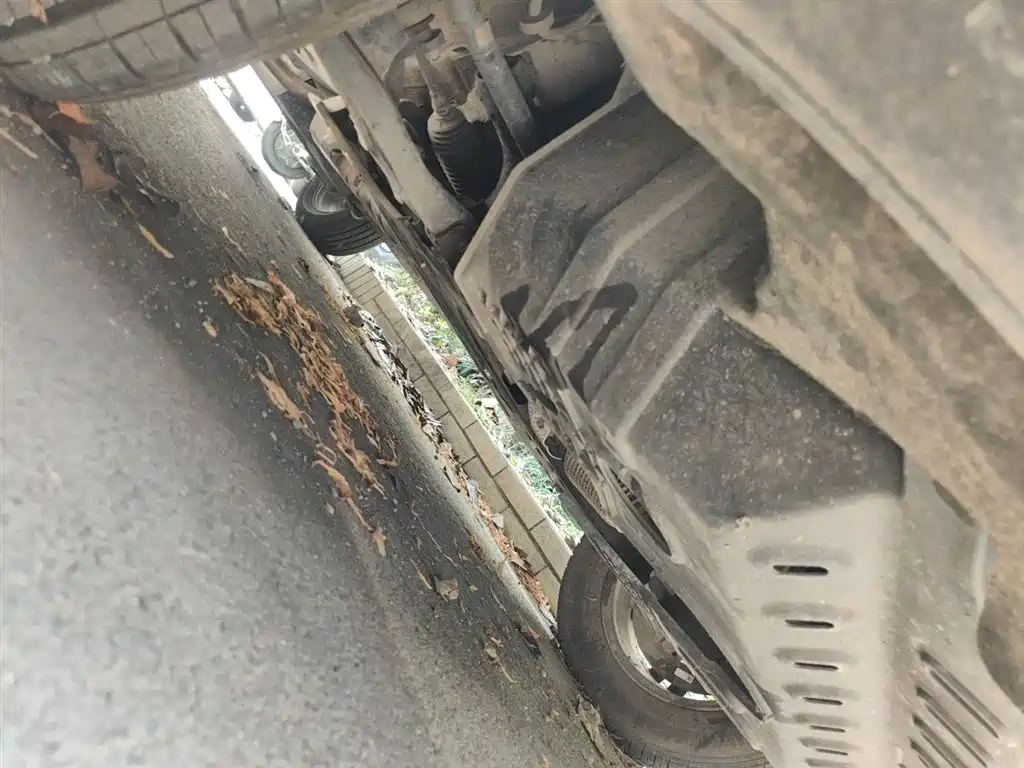 Bisu Auto Bisu T3 2019 2017 1.3T Manual Premium
