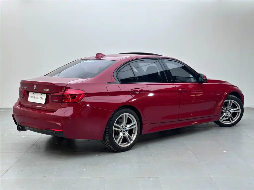BMW 3 Series 2019 320Li M Sport Black Night Edition фото 4