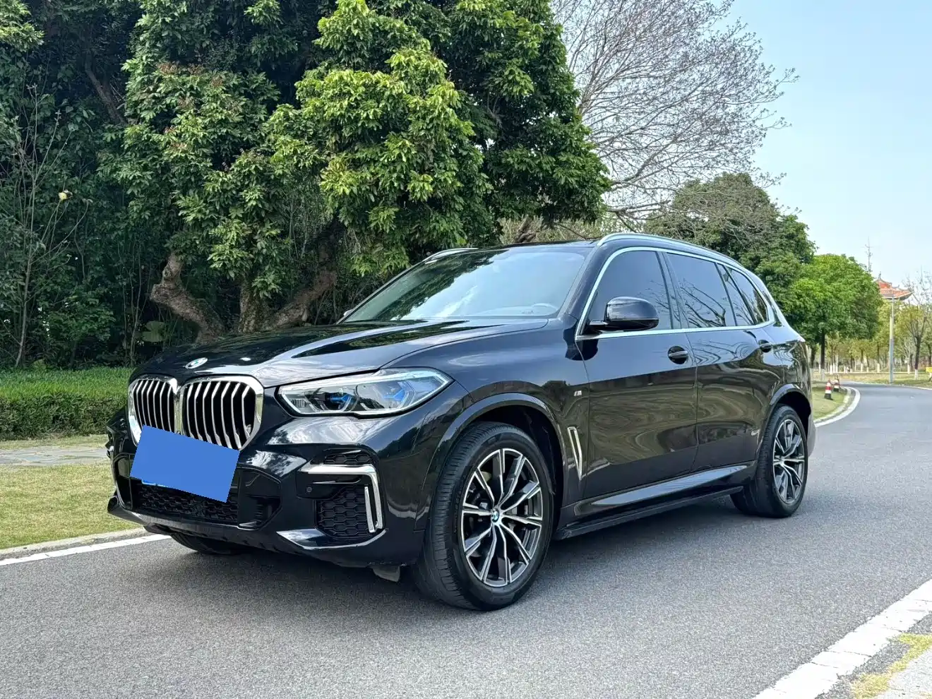 BMW X5 (Import) 2022 xDrive30i M Sport Package