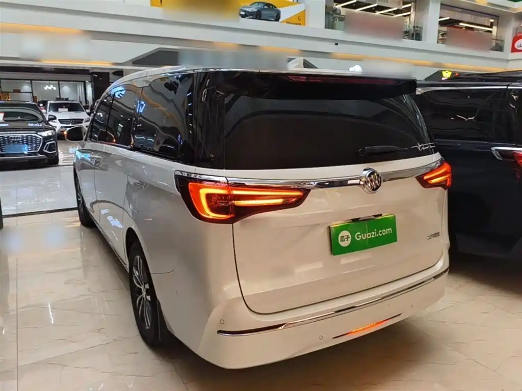 Buick GL8 2022 ES Landmark 653T Premium фото 5