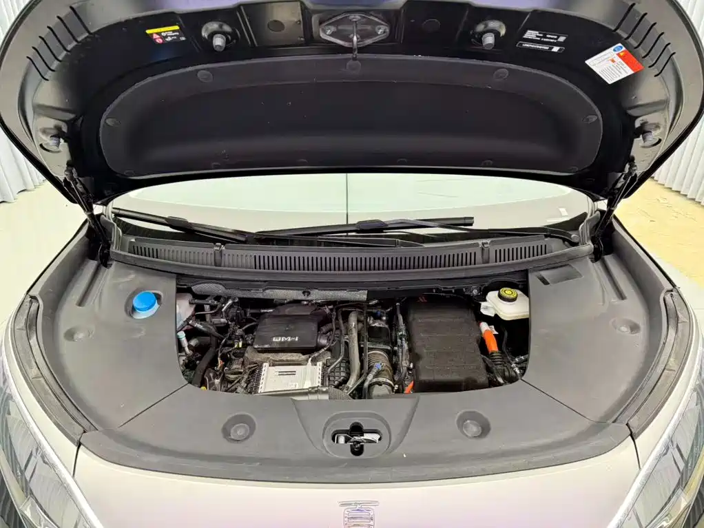 BYD Xia 2025 2026 DM-i 1.5T 218km Premium