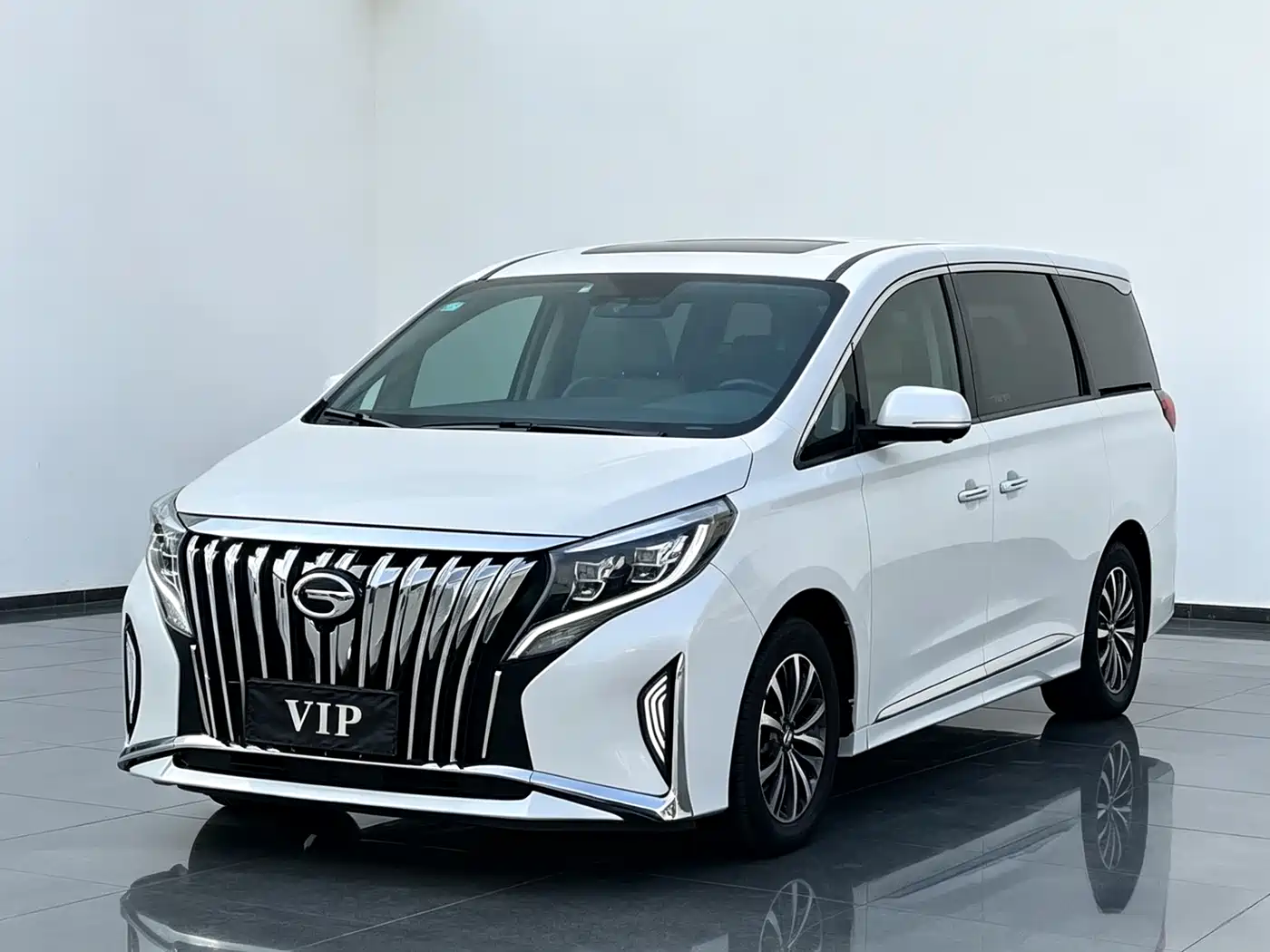 GAC Trumpchi Trumpchi M8 2023 Leading Series 390T Luxury Edition