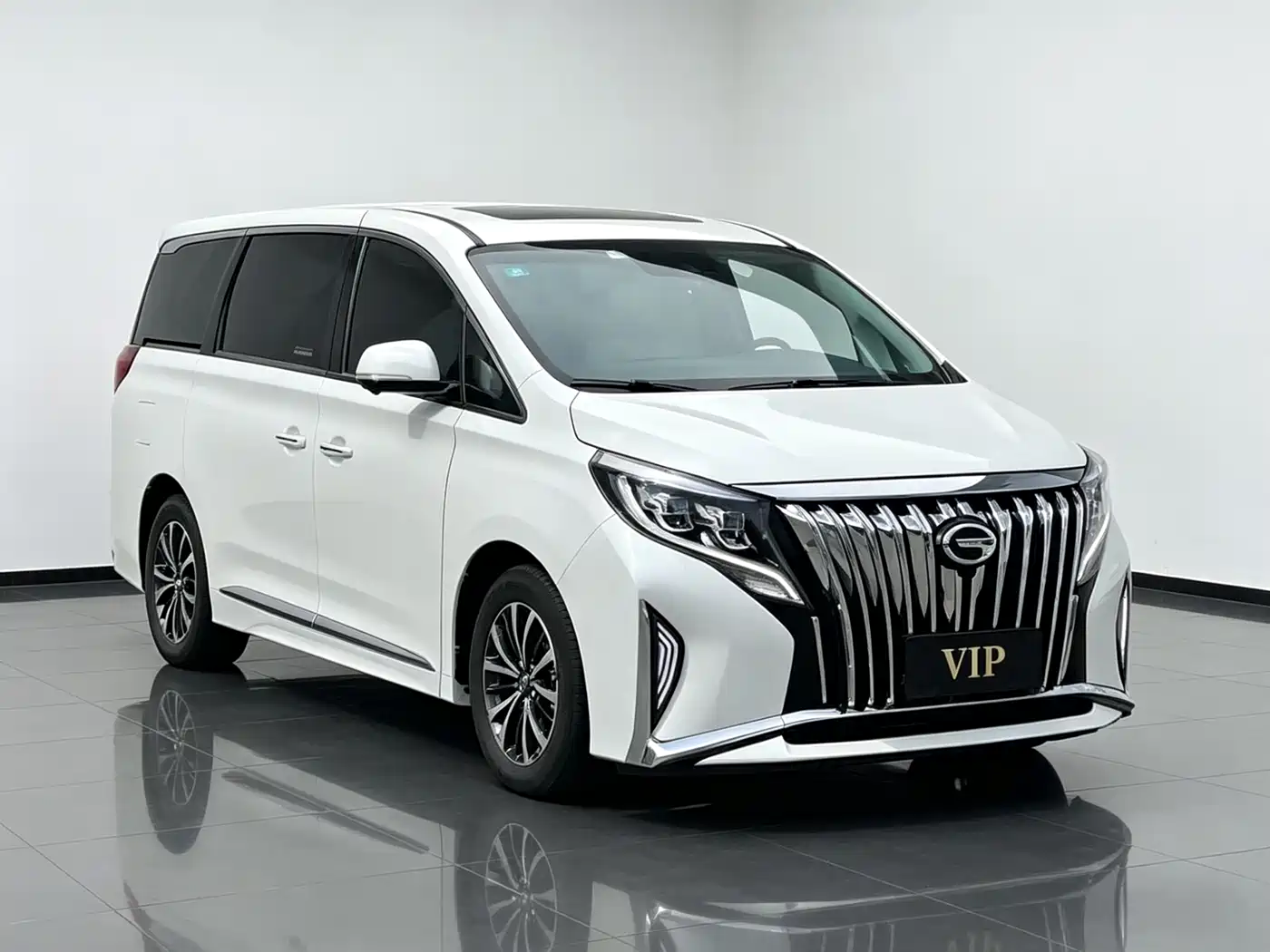 GAC Trumpchi Trumpchi M8 2023 Leading Series 390T Luxury Edition фото 3