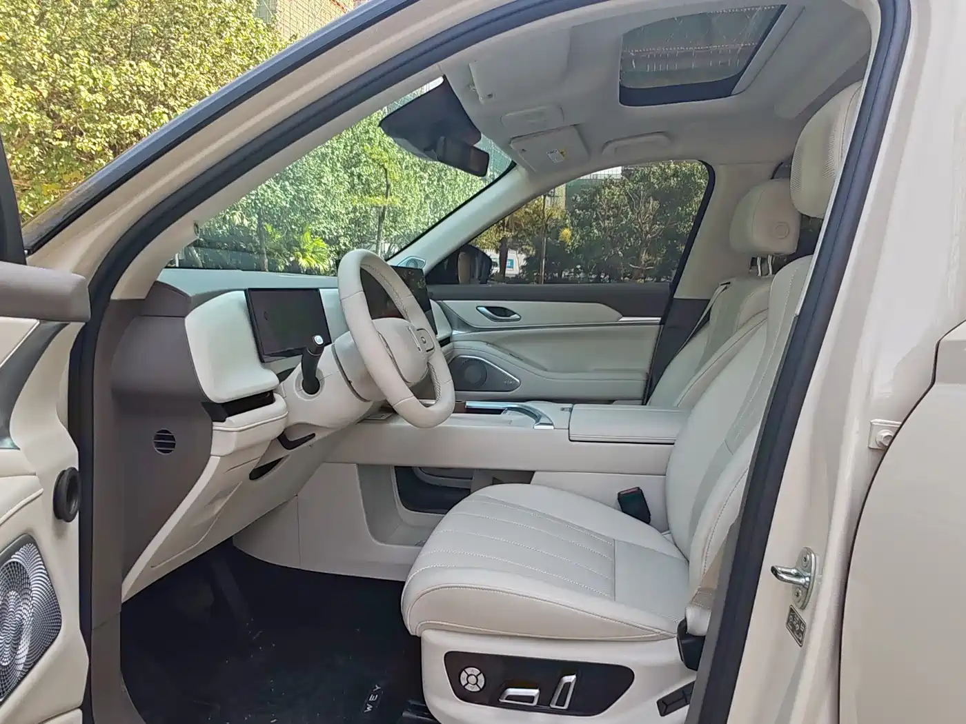 WEI PAI WEI BRAND BLUE MOUNTAIN