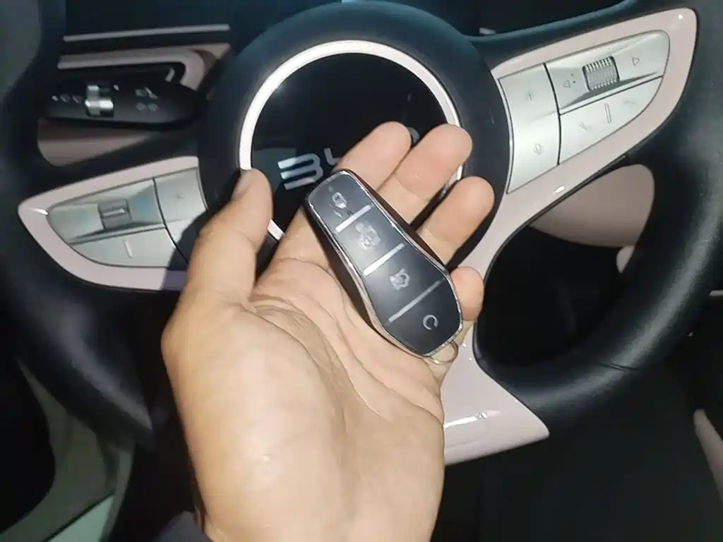 BYD Seagull 2025 Smart Drive Edition 305km Vitality Version фото 9