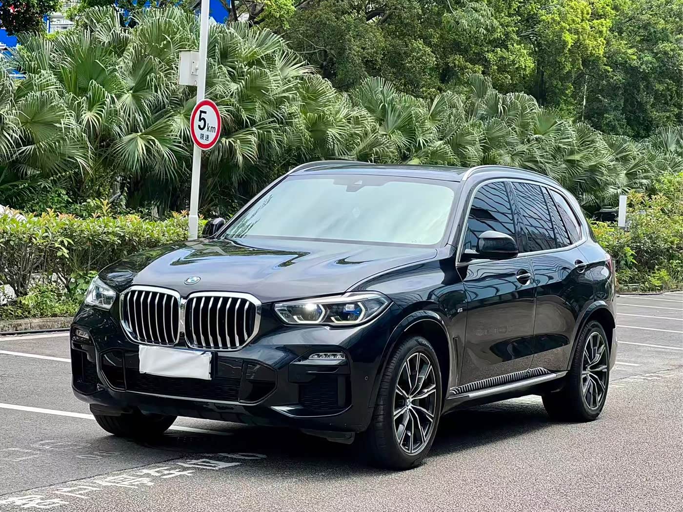 BMW X5 (Import)