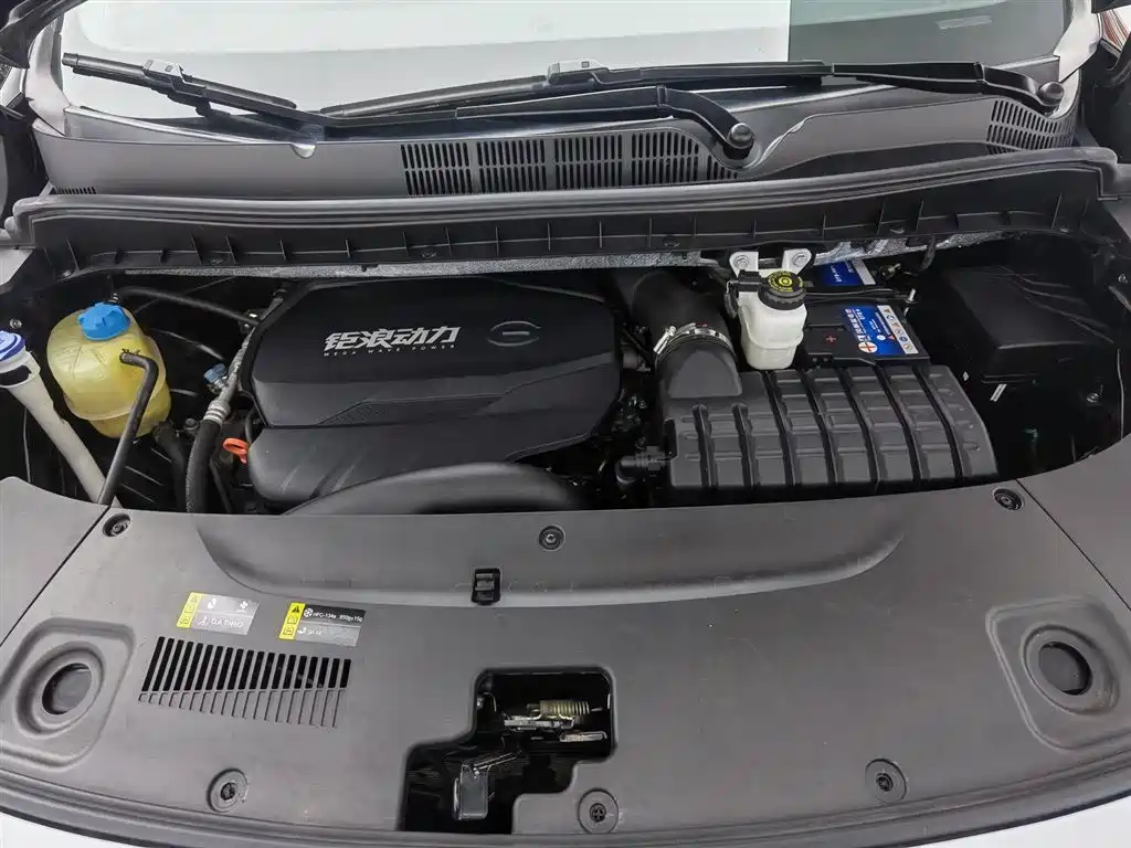 GAC Trumpchi Trumpchi M8 2023 Leading Series 390T Luxury Edition фото 6