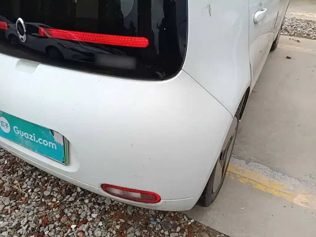 Ora White Cat 2021 2020 360km Standard Model