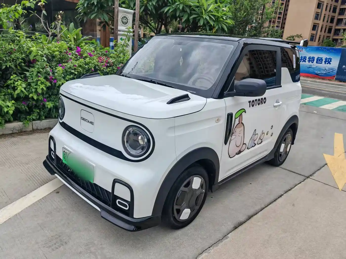 Geely Galaxy Panda 2025 Model Year 210km Panda Kart