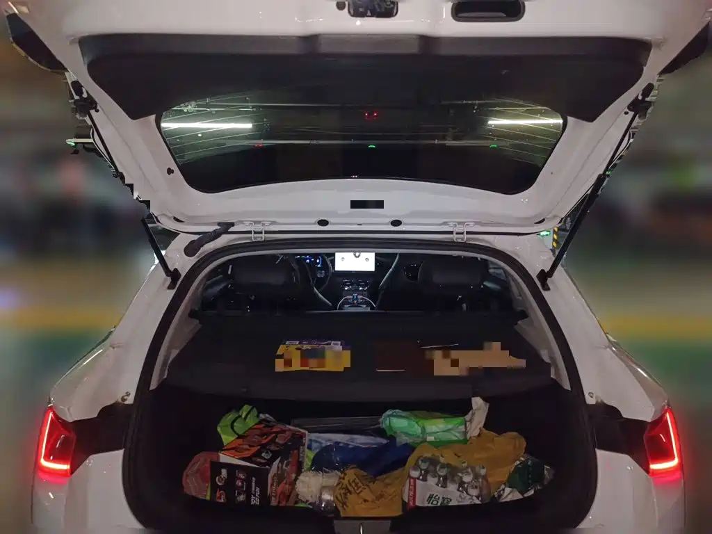 BYD e2 2023 2023 Luxury Model