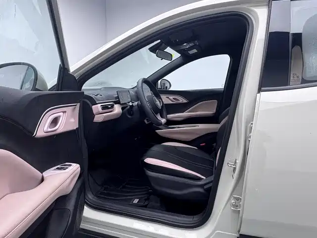 BYD Seagull 2026 2025 305km Vitality