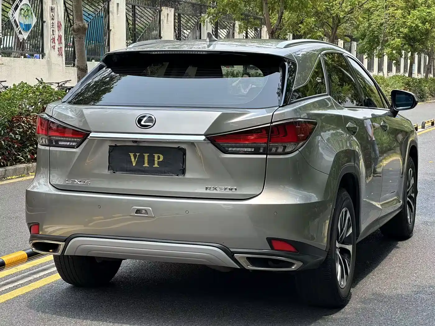 LEXUS RX
