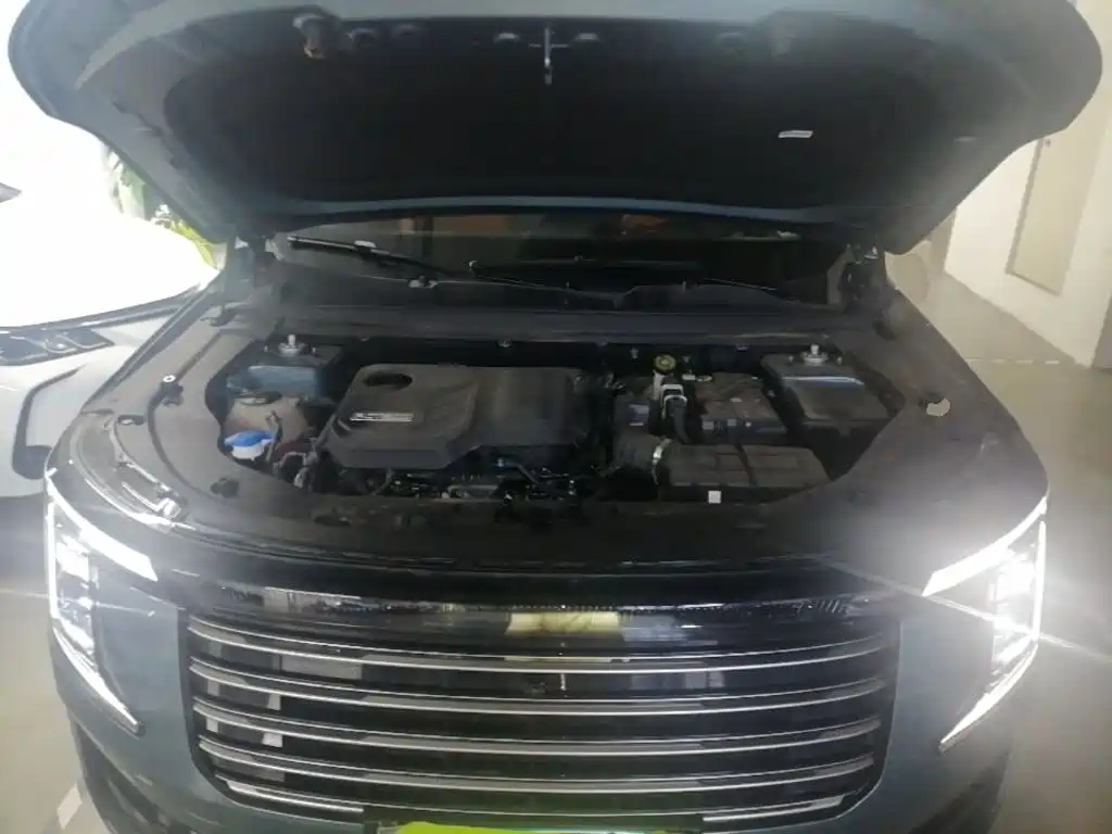 Jetour X70L 2025 2025 2.0T Automatic Flagship 7-Seater