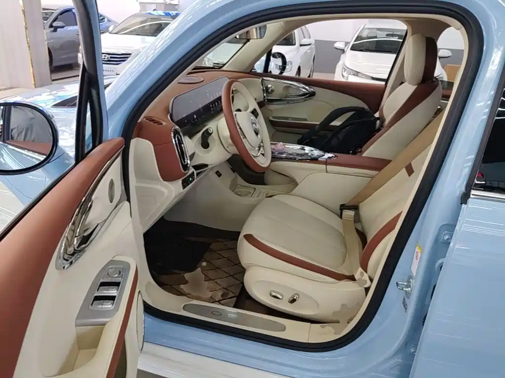 Ora Ballet Cat 2023 2023 401km Premium Model