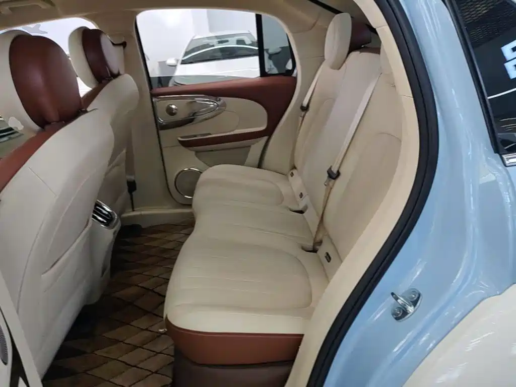 Ora Ballet Cat 2023 2023 401km Premium Model