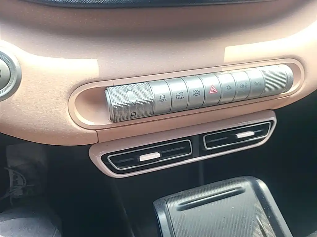 BYD Seagull 2023 Freedom Edition фото 14