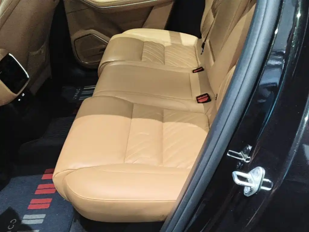 Lynk & Co 09 EM-P 2023 2.0TD EM-P AWD Asian Games Executive Edition 5-Seater фото 17