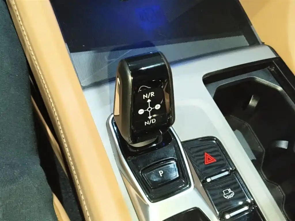 Lynk & Co 09 EM-P 2023 2.0TD EM-P AWD Asian Games Executive Edition 5-Seater фото 14