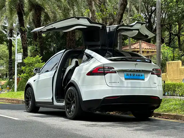 Tesla Model X 2016 Model X 90D — фото 3