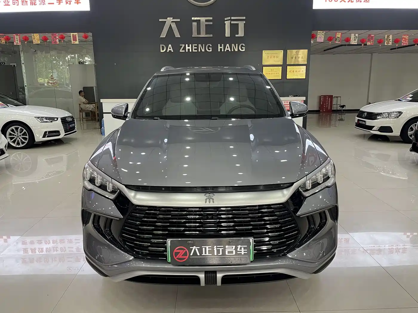 BYD Song Pro New Energy 2024 Glory Edition DM-i 71KM Pilot фото 2