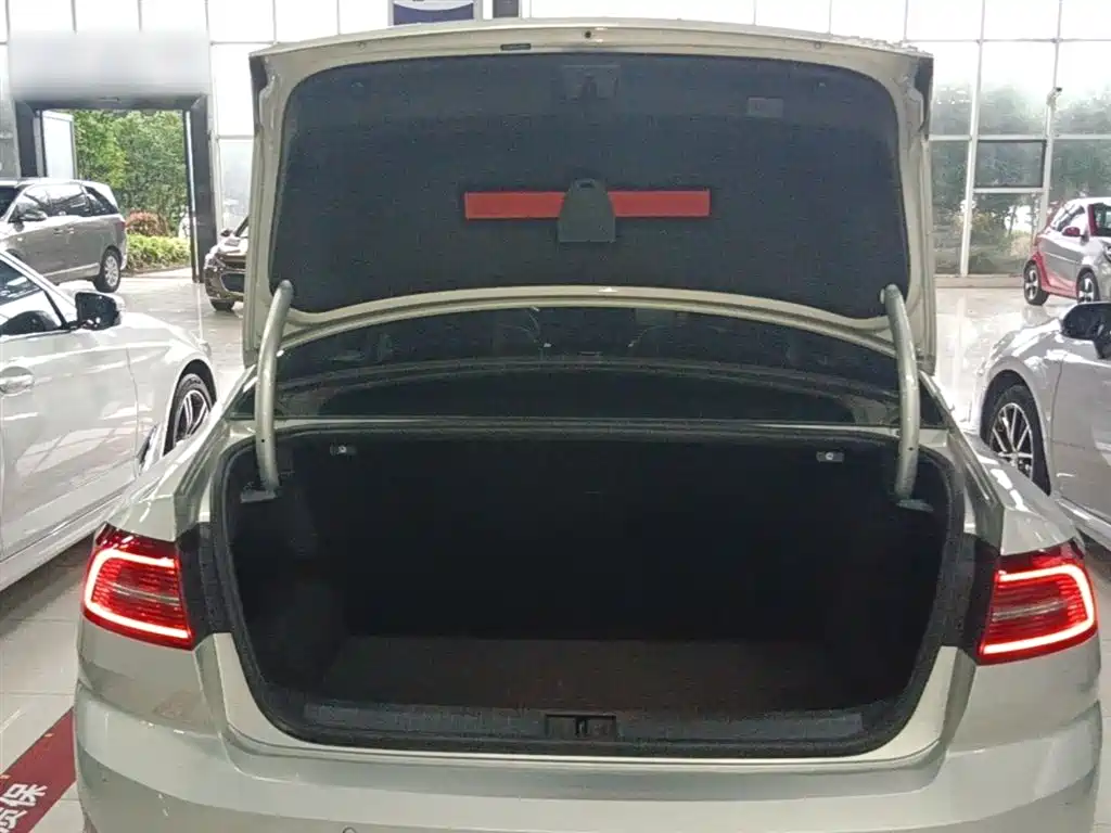 Volkswagen Magotan 2019 330TSI DSG Leading China V фото 19