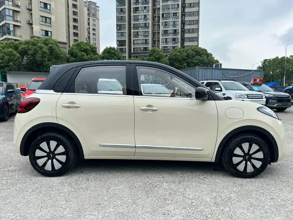 Wuling Motors Wuling Bingo 2026 2025 Model 333km Joy Edition