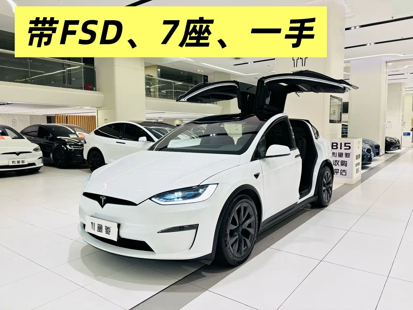 Фото 1 - Tesla Model X