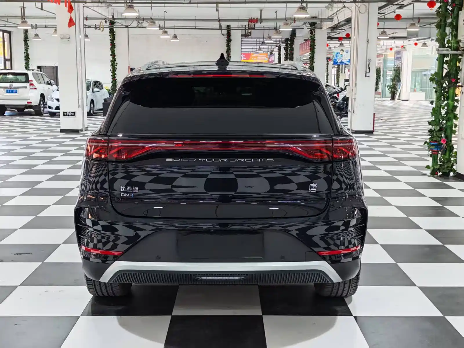 صورة 8 - BYD Tang New Energy