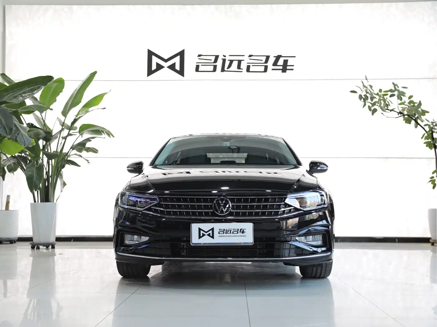 Volkswagen Magotan 2024 2 Million Units Public Sharing Edition 330TSI DSG Luxury фото 2