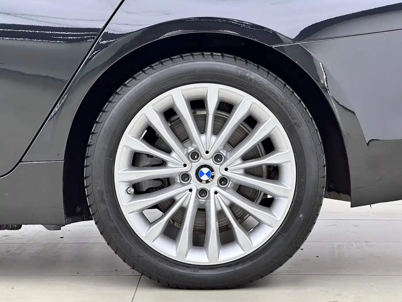 BMW 5 Series New Energy 2020 530Le Range Upgrade Luxury Package фото 17