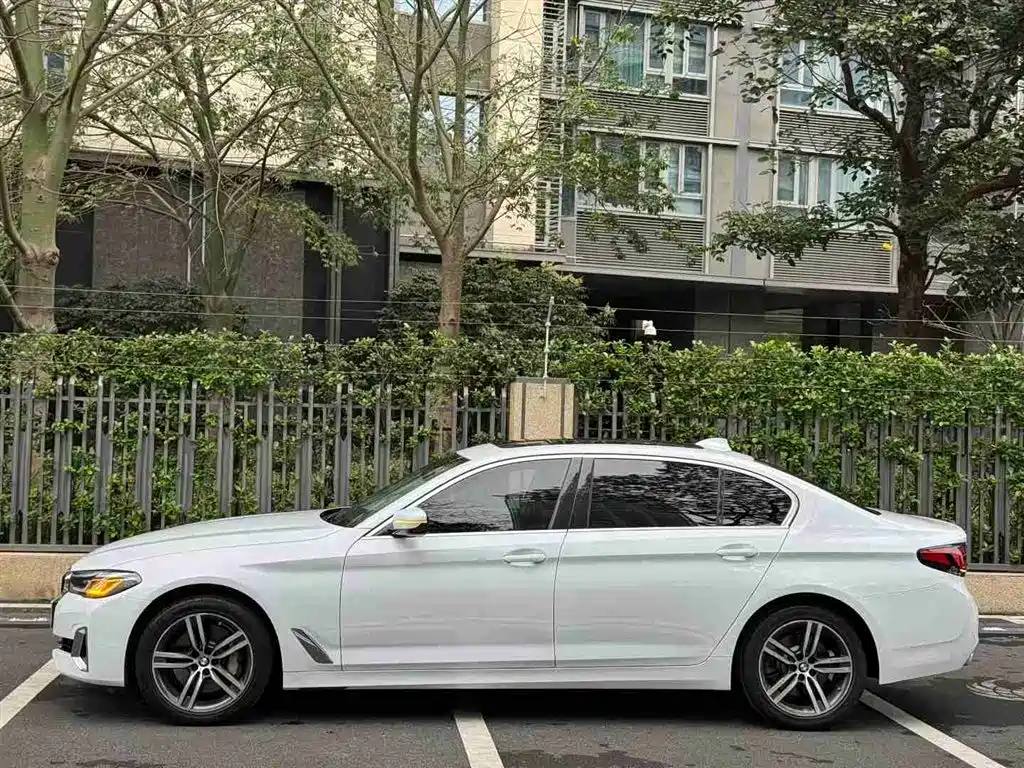 BMW 5 Series 2021 530Li Leading Luxury Package фото 2