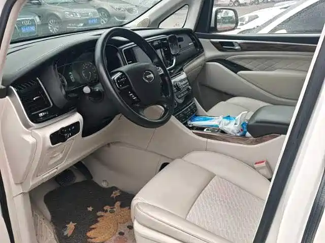 GAC Trumpchi Trumpchi M8 2020 Pilot 390T Luxury Edition фото 5