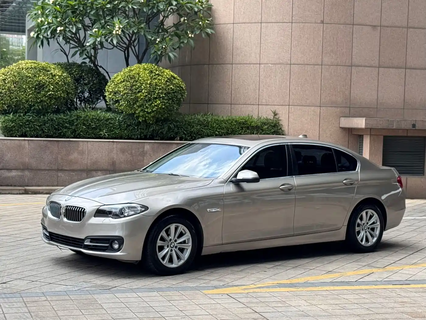 BMW 5 Series 2014 520Li Elegance