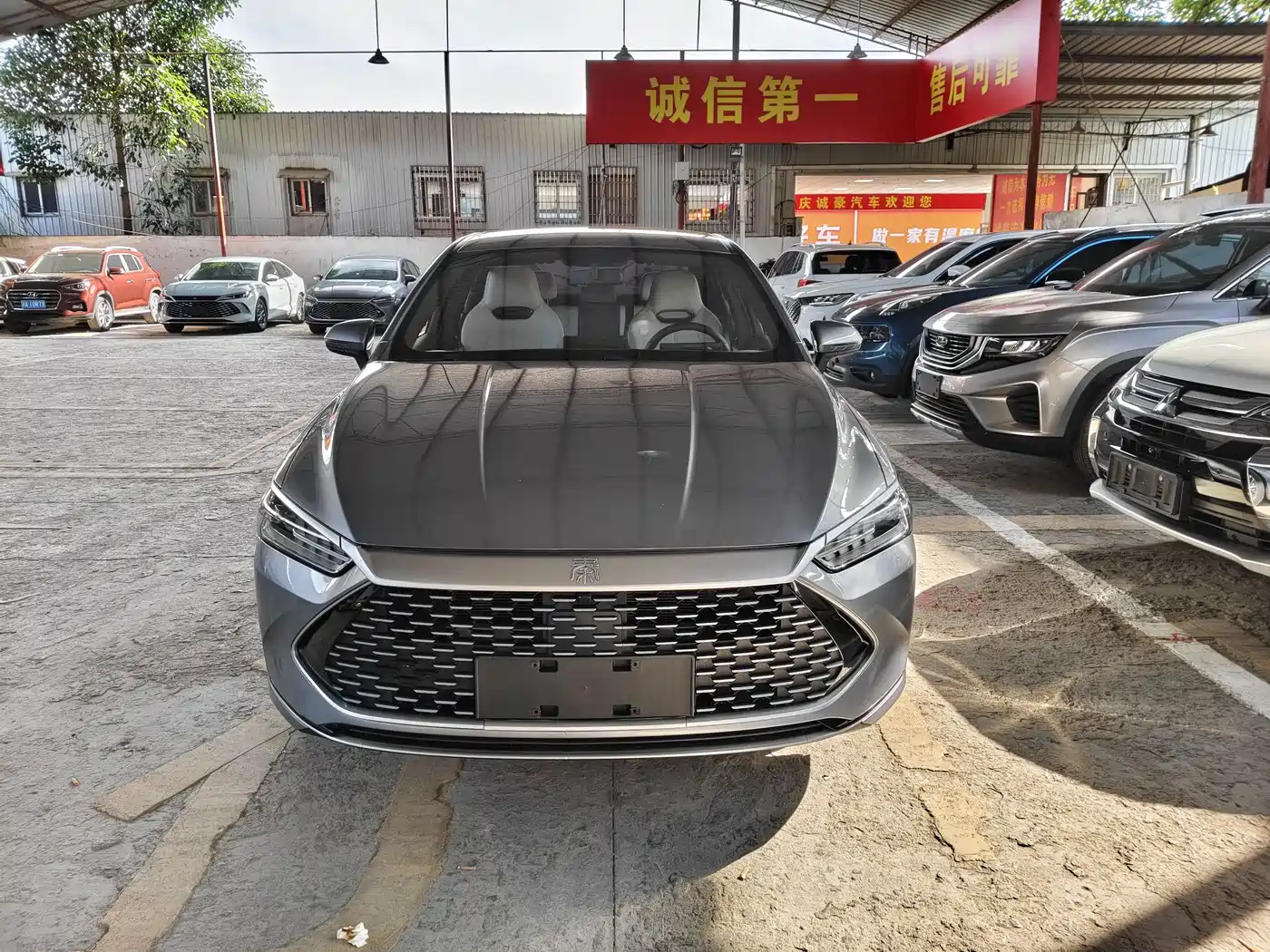 BYD Qin PLUS 2023 Champion Edition DM-i 55KM Leading фото 2