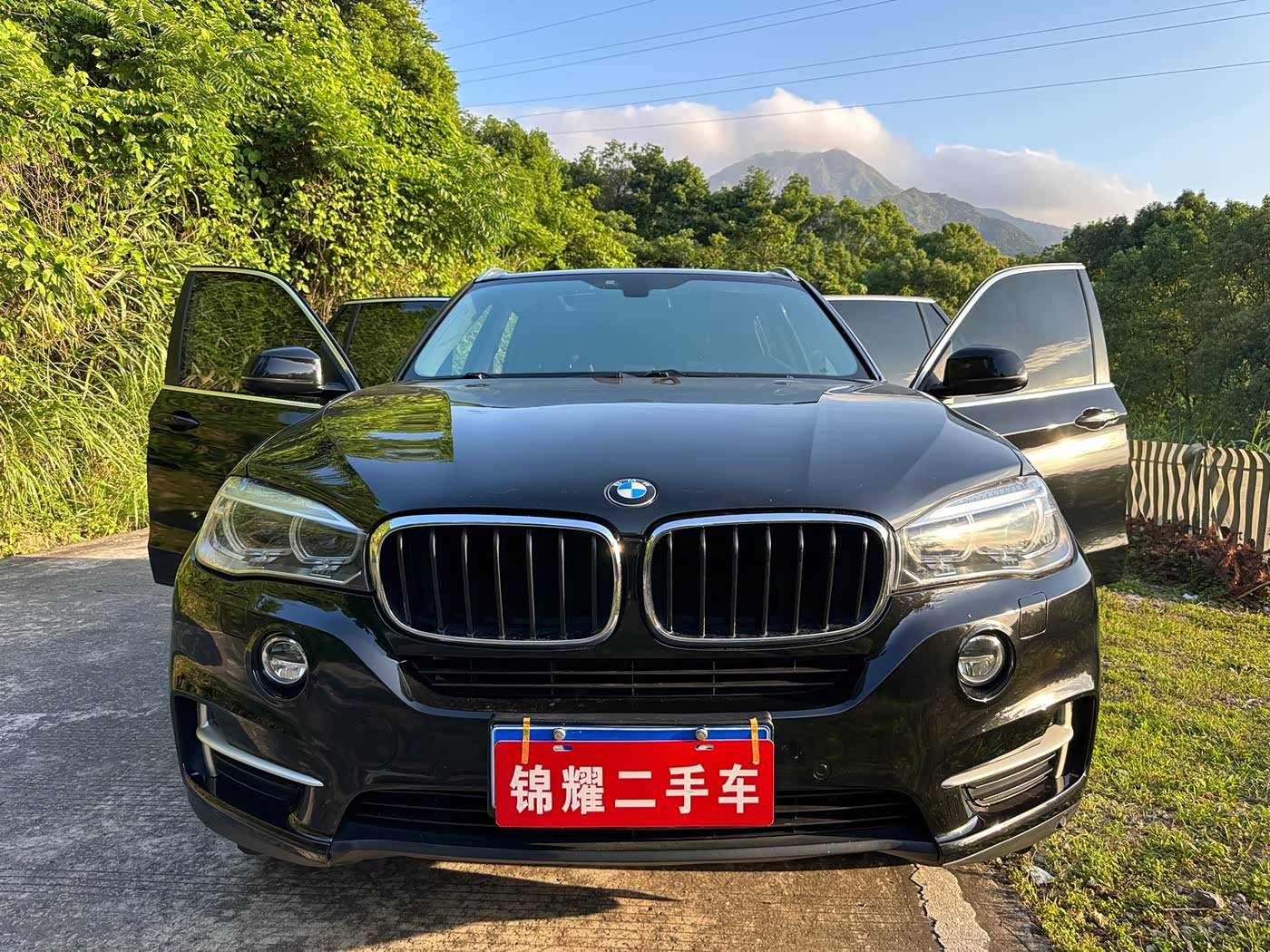 BMW X5 (Import)