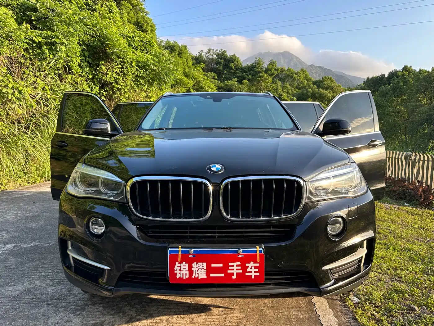 BMW X5 (Import) 2014 xDrive35i Leading