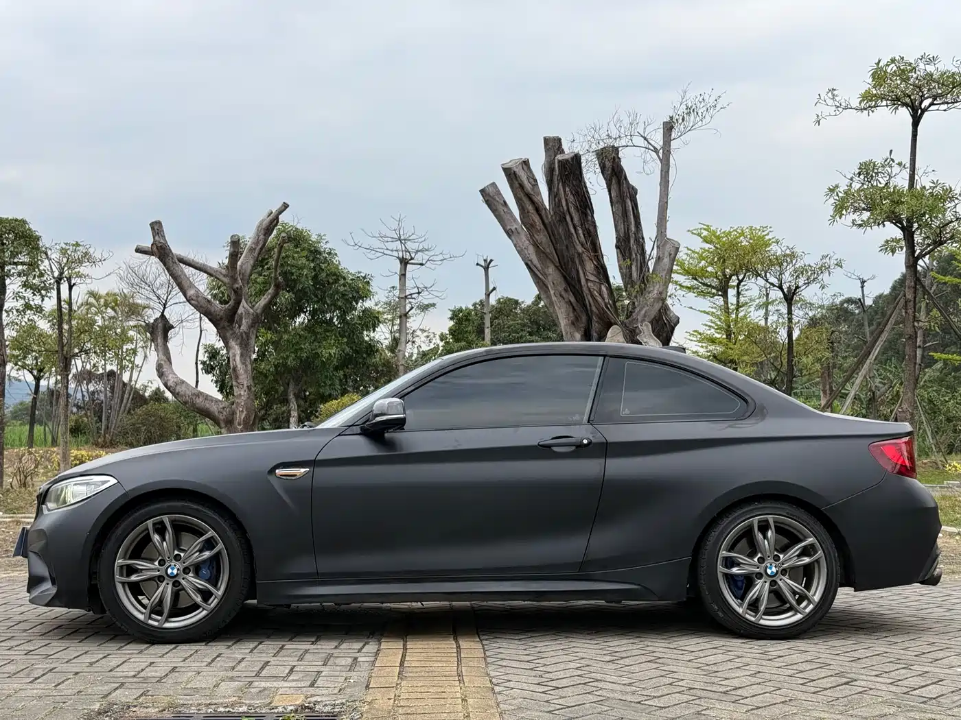 BMW 2 Series (Import) 2014 M235i фото 6
