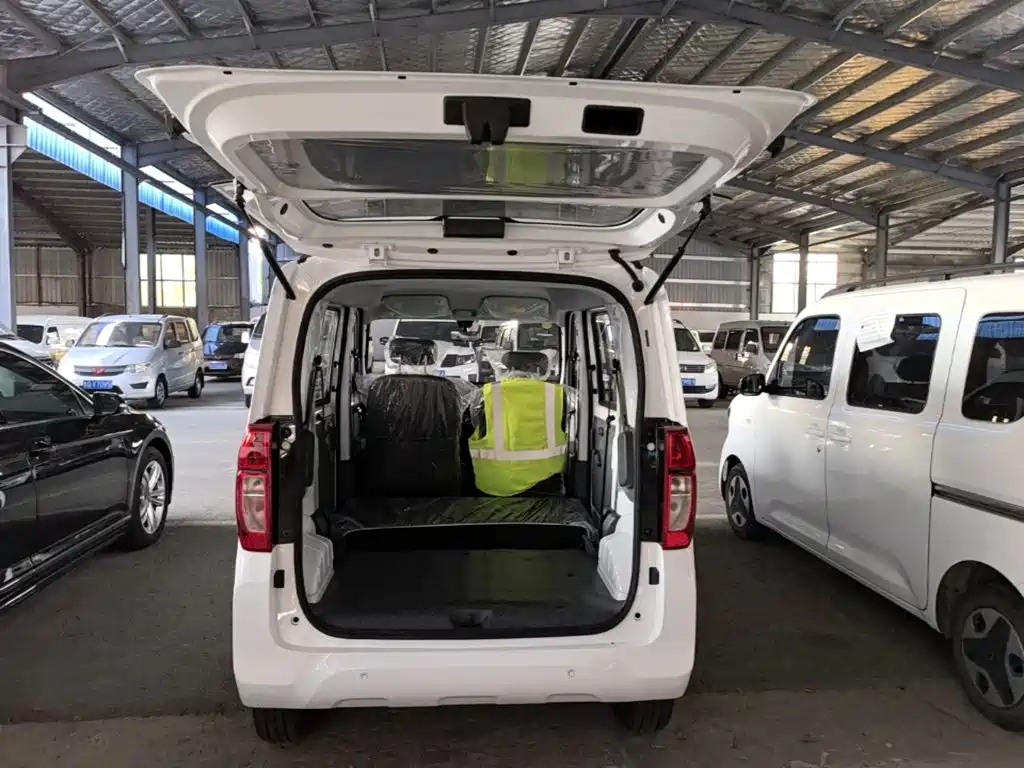 Wuling Motors Wuling Zhiguang NEV 2026 2025 Model 305km Base Version