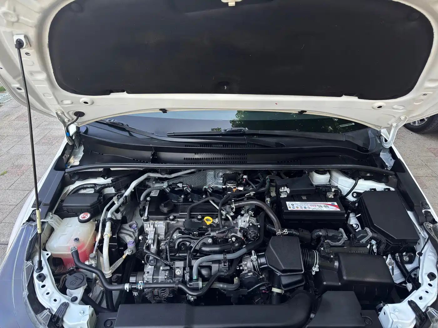 Toyota Levin 2022 TNGA 1.5L CVT Elite Edition фото 16