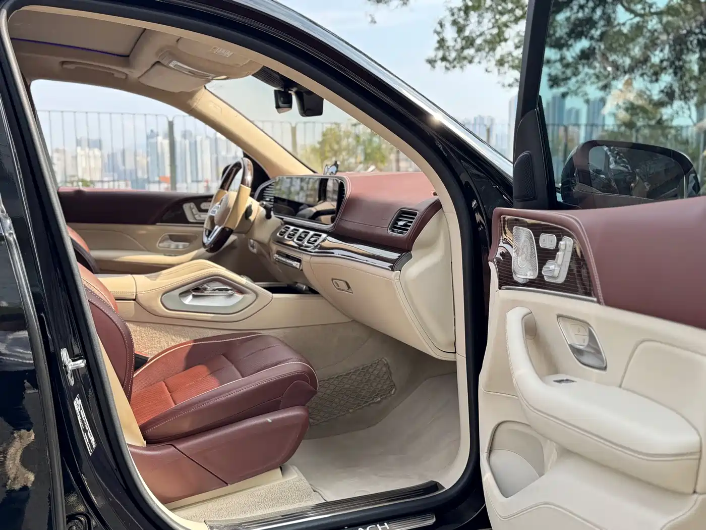 Mercedes-Benz Maybach GLS 2021 GLS 600 4MATIC Ritual Edition фото 15