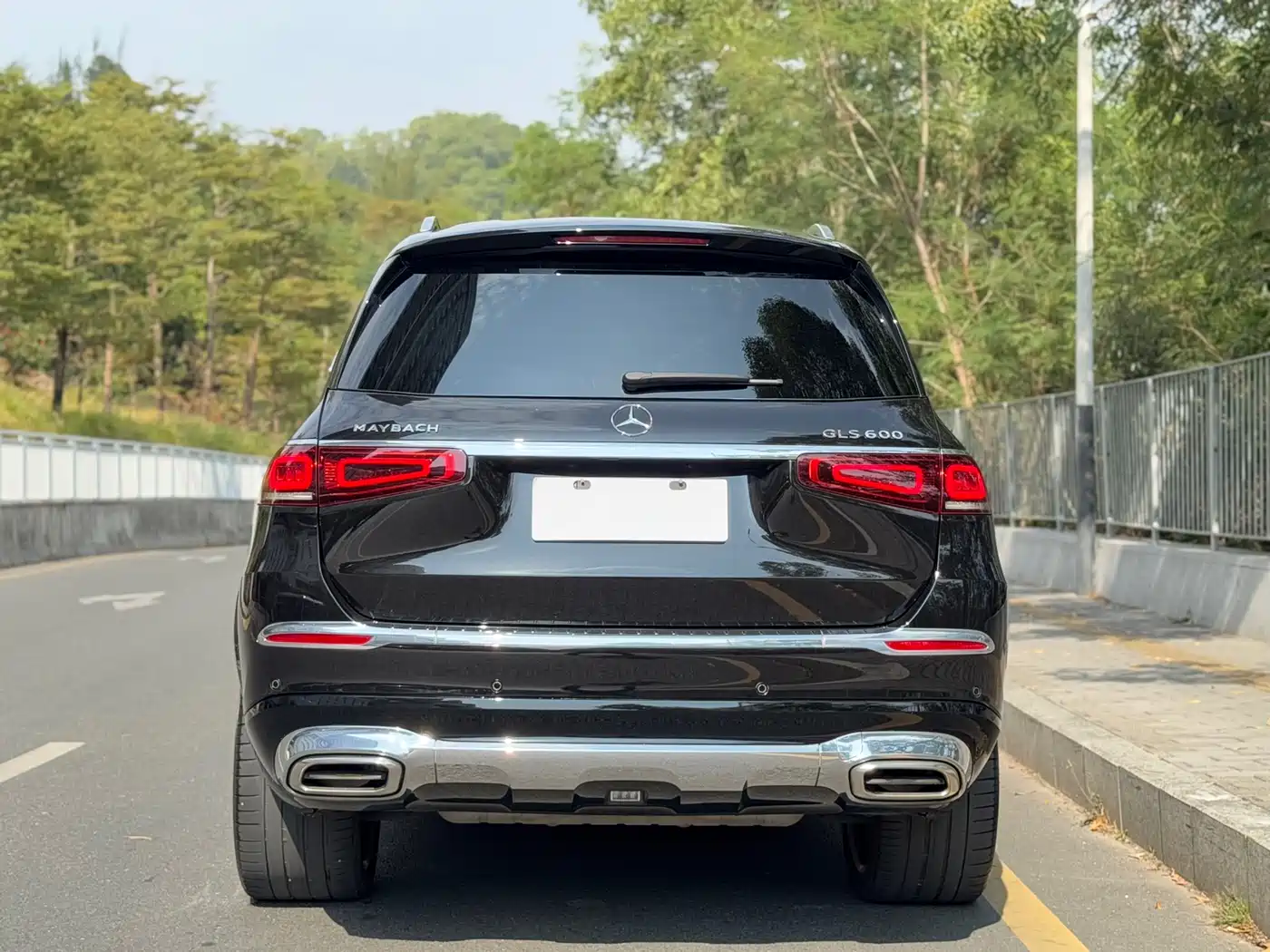 Mercedes-Benz Maybach GLS 2021 GLS 600 4MATIC Ritual Edition фото 5