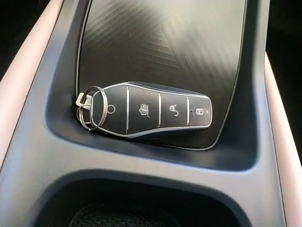 BYD Seagull 2026 2025 Smart Drive Edition 305km Vitality Version