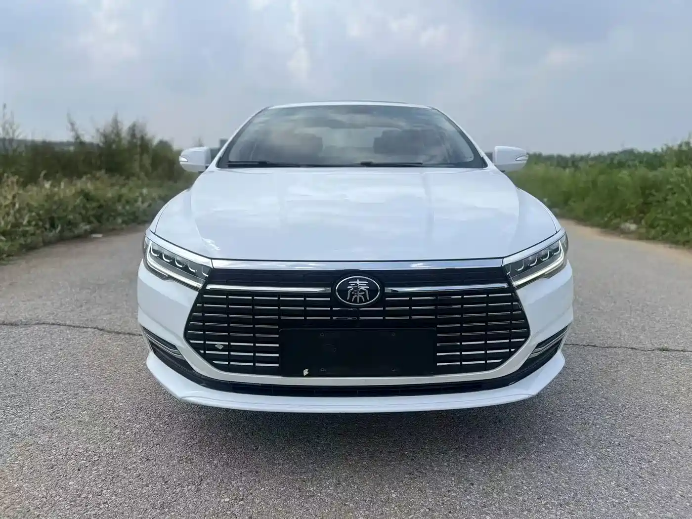 BYD Qin New Energy 2020 2019 Long Range Luxury Edition