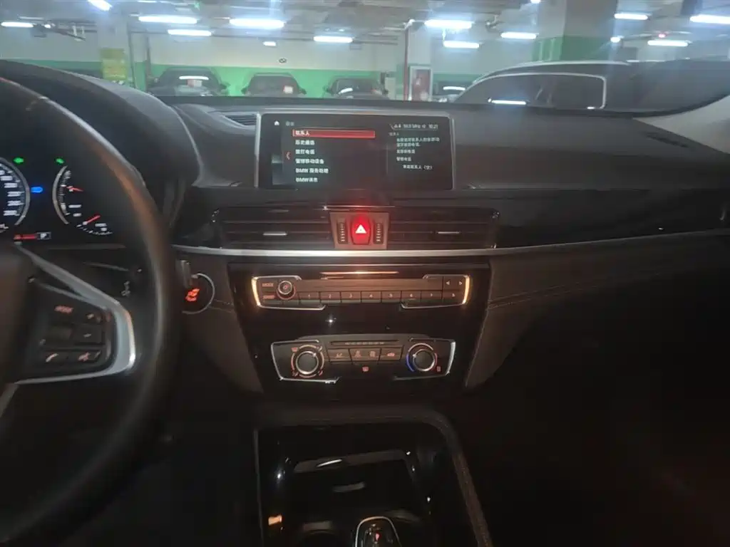 BMW X2 (Import) 2019 sDrive20i M Off-Road Package China VI фото 13