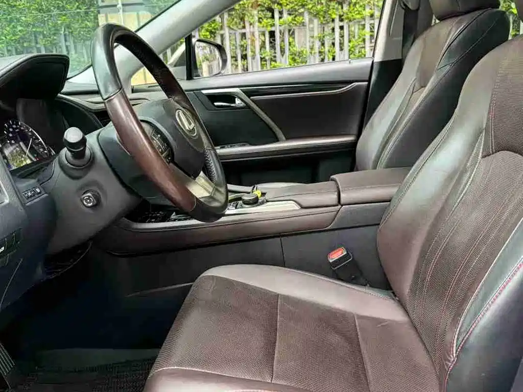 Lexus RX 2016 300 2WD Comfort Edition China V фото 9
