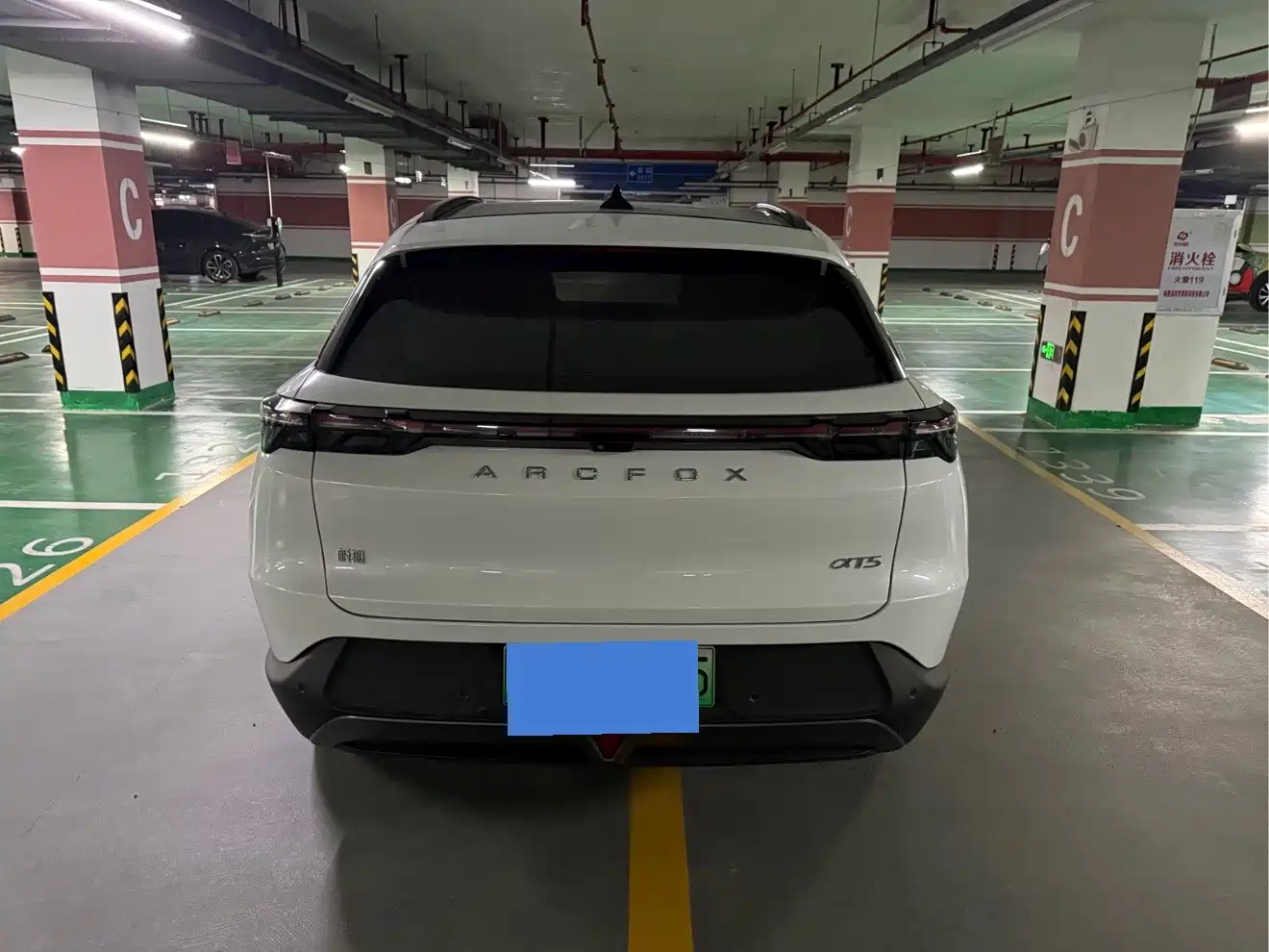 ARCFOX EXTREME FOX POLAR FOX ALPHA T5